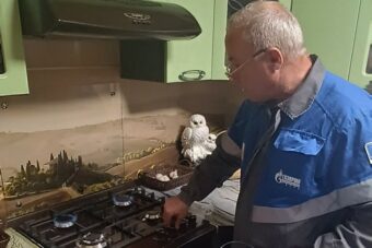 В Тверской области продолжается газификация домовладений В Тверской области продолжается газификация домовладений