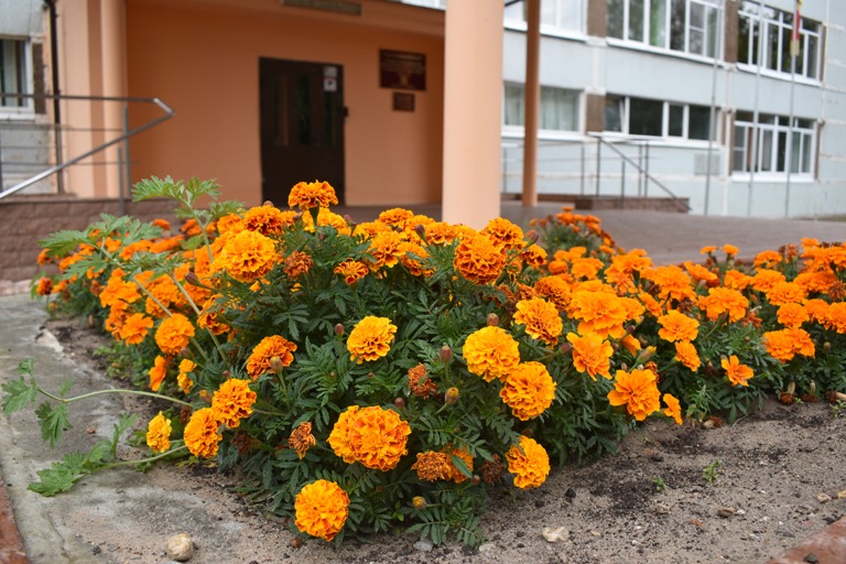 Глава Твери Алексей Огоньков: в целом, все школы города готовы к приему детей