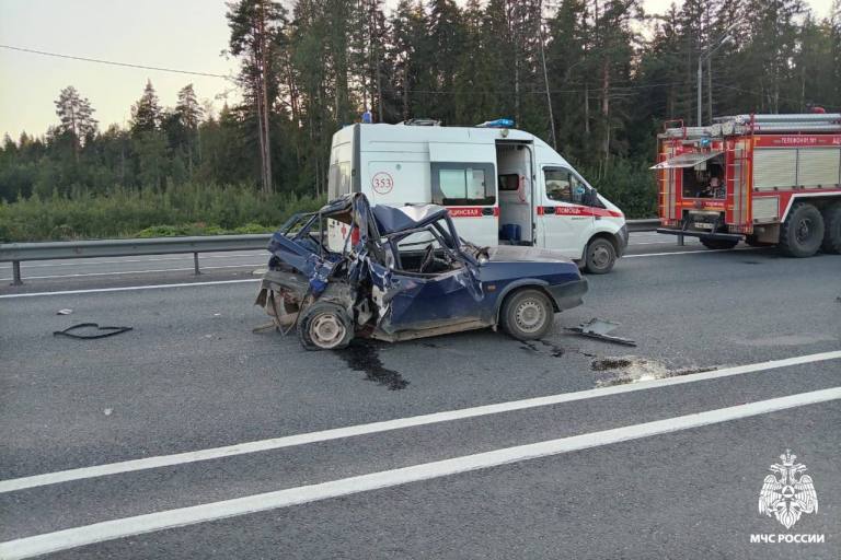 Грузовик раздавил легковушку на М-10 в Тверской области