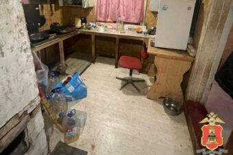 В Тверской области две женщины жестоко убили знакомую