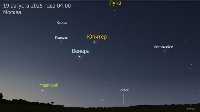 В ночь на 19 августа жители Тверской области смогут наблюдать уникальное небесное светопредставление