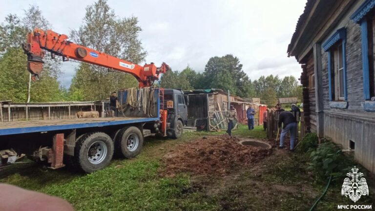 В Тверской области молодой бычок провалился в колодец и выжил