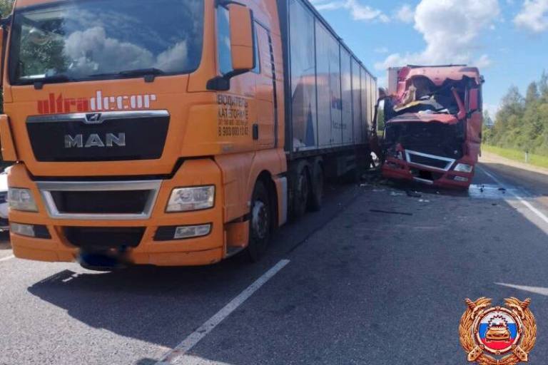 Водитель пострадал в столкновении большегрузов на М-9 в Тверской области