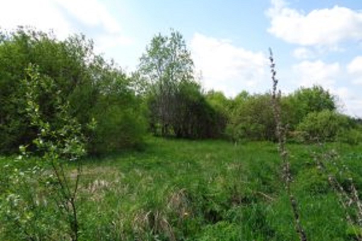 Неиспользуемые сельхозугодья изымут у собственника в Тверской области