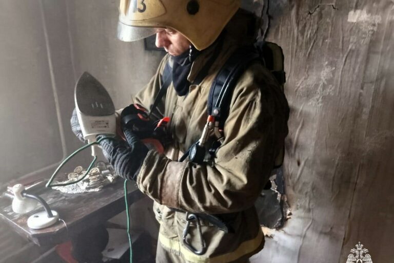 Невыключенный утюг стал причиной пожара в Тверской области