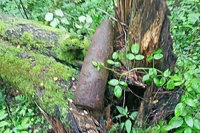 Снаряд времен войны обнаружили под Тверью