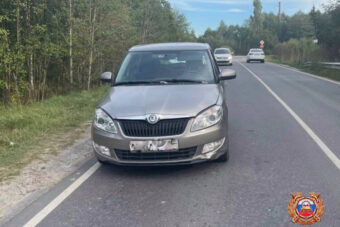 В Тверской области один пенсионер сбил другого