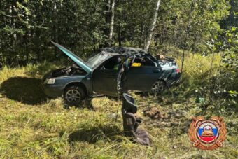 Пятеро детей пострадали в ДТП с пьяным водителем в Тверской области