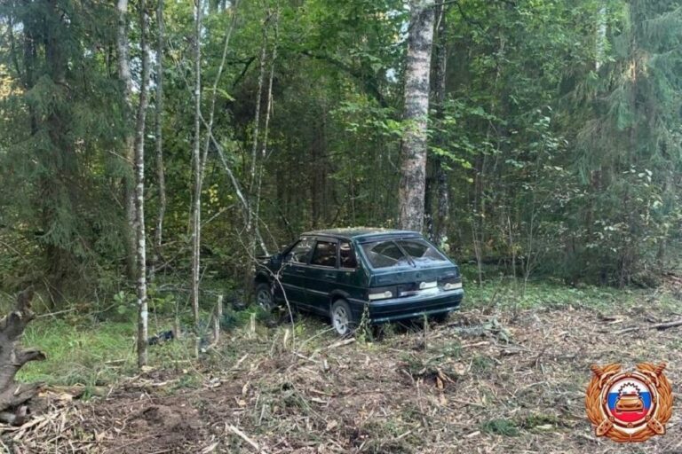 Погиб водитель легковушки в Тверской области