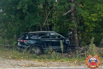 В Тверской области внедорожник вылетел в кювет и разбился о дерево