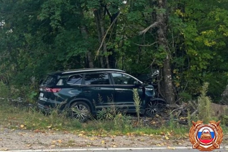 В Тверской области внедорожник вылетел в кювет и разбился о дерево