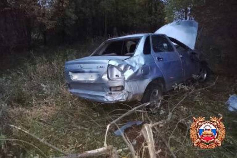 В Тверской области погиб водитель вылетевшей в кювет легковушки