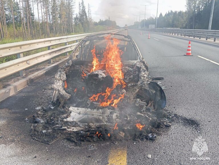 На трассе М-11 в Тверской области автомобиль вспыхнул на ходу
