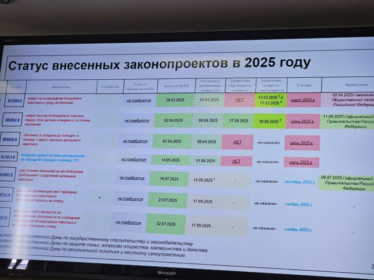 С собаками запретят заходить в магазины