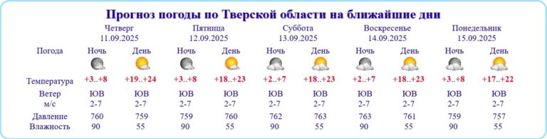 Гидрометцентр России назвал погоду в Тверской области потенциально опасной