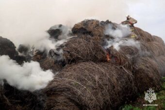 Более 150 рулонов сена сгорело в Тверской области