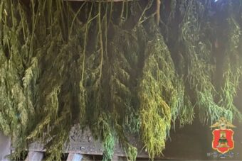 Около двух килограммов марихуаны хранил житель Тверской области