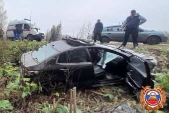 Два человека пострадали в ДТП с лосем в Тверской области Два человека пострадали в ДТП с лосем в Тверской области