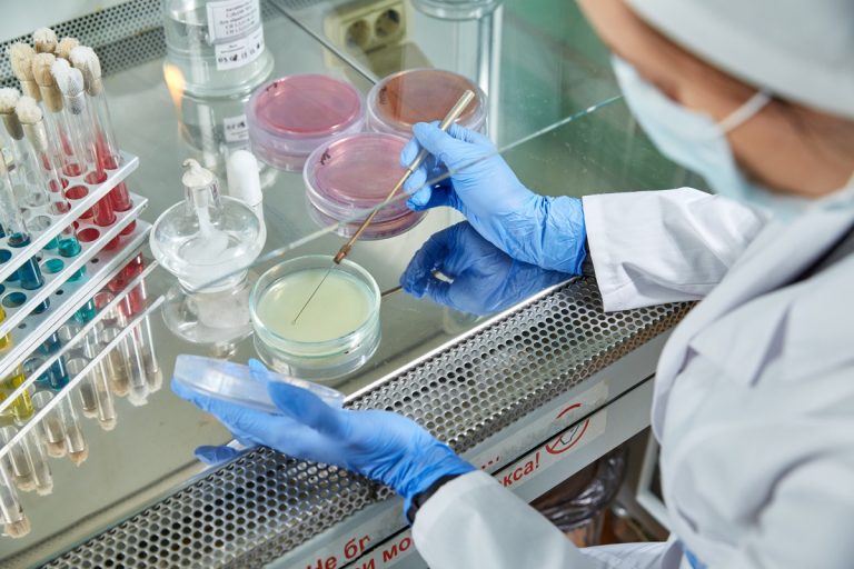 Кишечную палочку обнаружили в мясной продукции, выпускаемой в Тверской области Кишечную палочку обнаружили в мясной продукции, выпускаемой в Тверской области