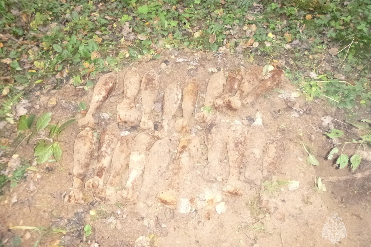 В Тверской области обезвредили 24 боеприпаса времен ВОВ