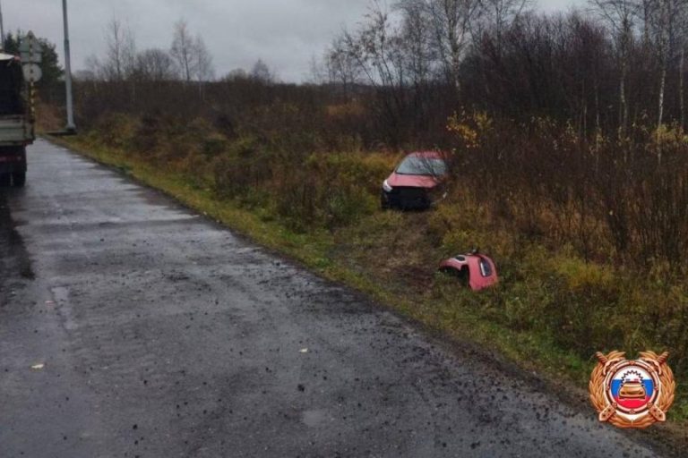 Легковушка вылетела в кювет на М-9 в Тверской области