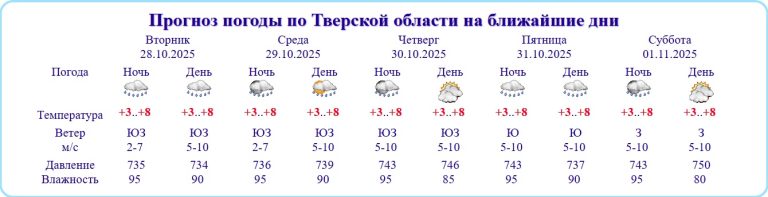 Стала известна причина недомогания жителей Тверской области 28 октября