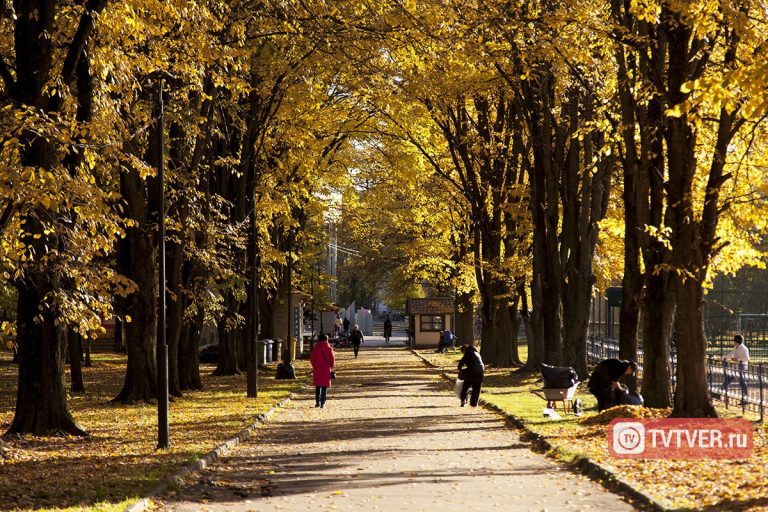 Как изменится жизнь жителей Тверской области в ноябре Как изменится жизнь жителей Тверской области в ноябре