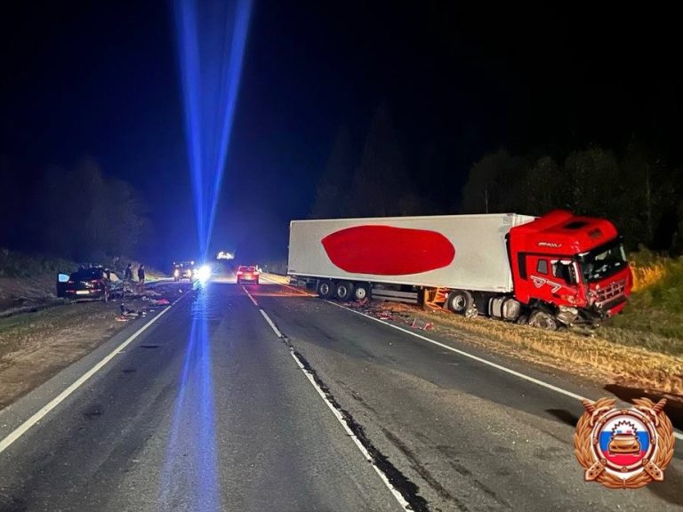 На трассе в Тверской области автомобиль разорвало в клочья