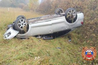 В Тверской области водитель перевернул автомобиль, пытаясь уйти от столкновения с лосем
