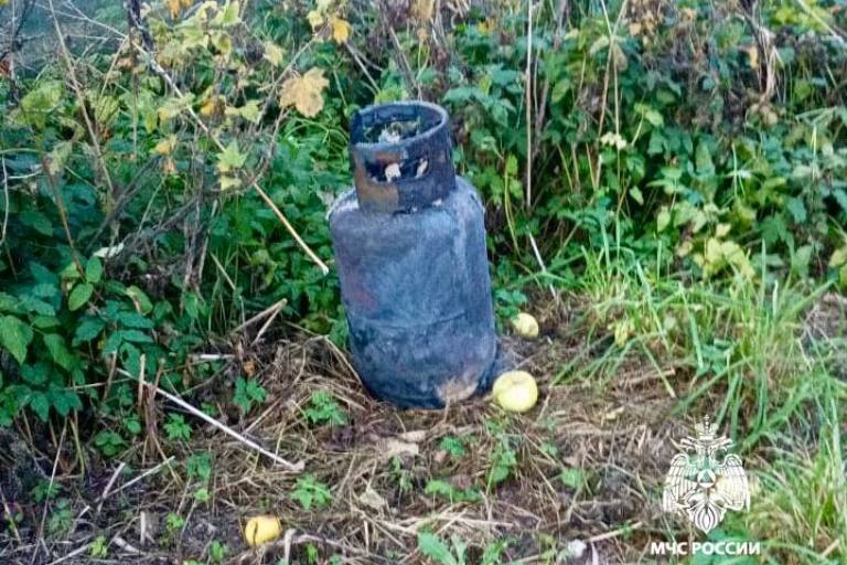 В Тверской области дотла сгорел дачный дом