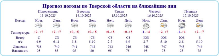 Названа дата, когда в Тверской области пойдет первый снег