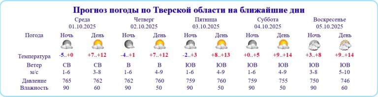 Названа причина недомогания жителей Тверской области