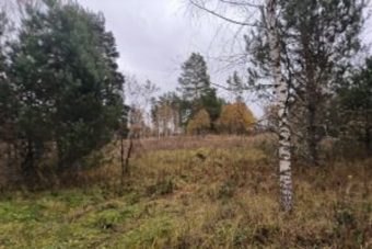 Неиспользуемые сельхозугодья выявлены под Тверью