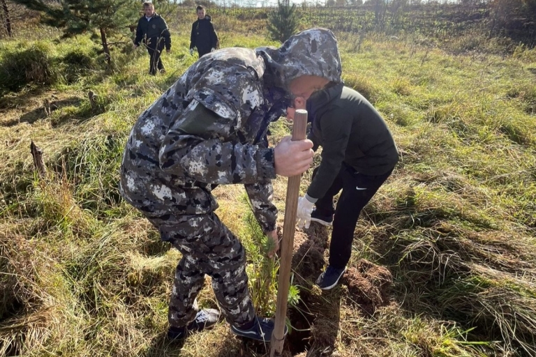 Более полумиллиона деревьев высажено за полтора месяца в Тверской области
