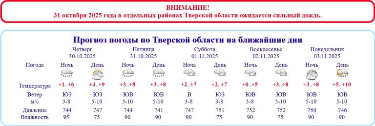 31 октября МЧС призывает жителей Тверской области незамедлительно раздеться и согреться