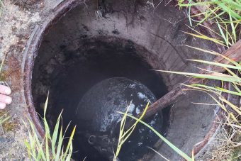 В Тверской области собаку спасли от верной гибели в нечистотах