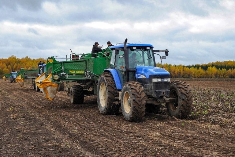 Уборочная кампания в Тверской области показала рост урожайности Уборочная кампания в Тверской области показала рост урожайности
