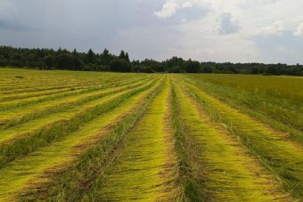 В Тверской области завершается уборочная кампания