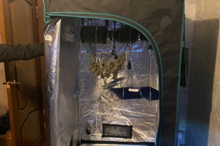 Житель Тверской области выращивал в квартире коноплю