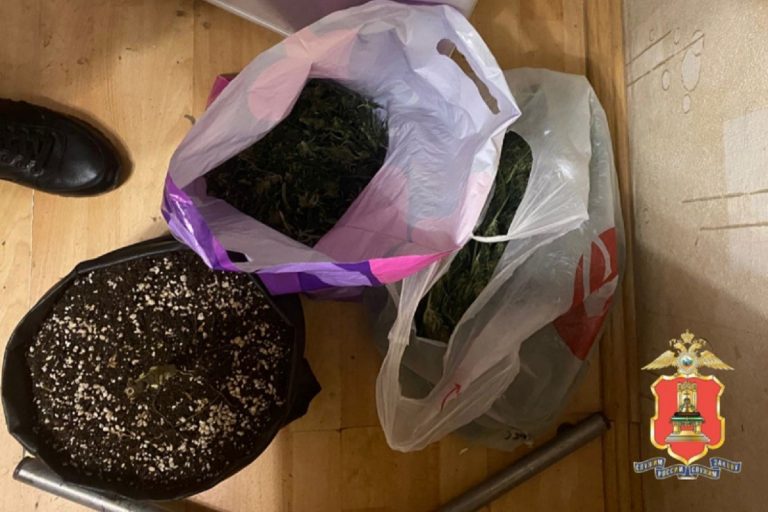 Житель Тверской области выращивал в квартире коноплю