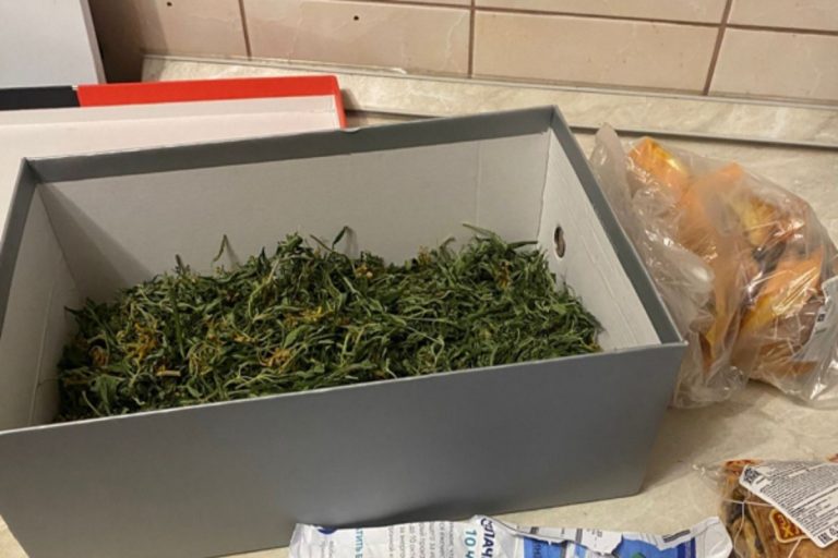 Житель Тверской области выращивал в квартире коноплю Житель Тверской области выращивал в квартире коноплю