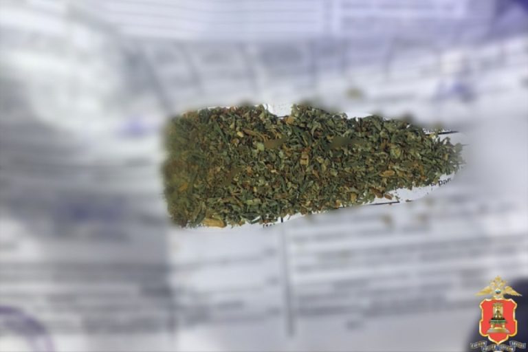 Любителей "дури" задержали в Тверской области