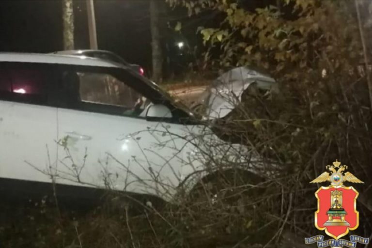 Цыган совершил дерзкий угон и навел суету в Тверской области