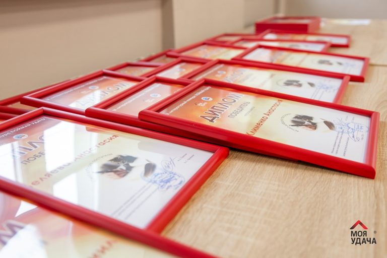 Строим новое качество жизни: Группа Компаний «Удача» подвела итоги IX литературного конкурса «Поймай Удачу»