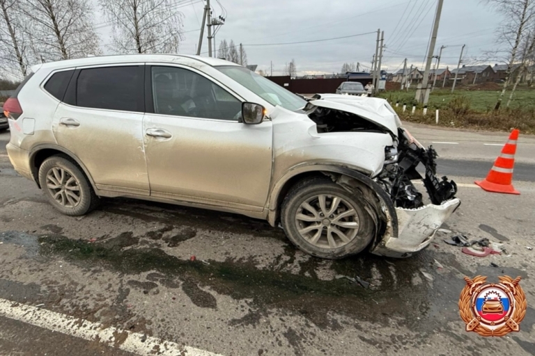 Женщина и годовалый ребенок пострадали в ДТП под Тверью