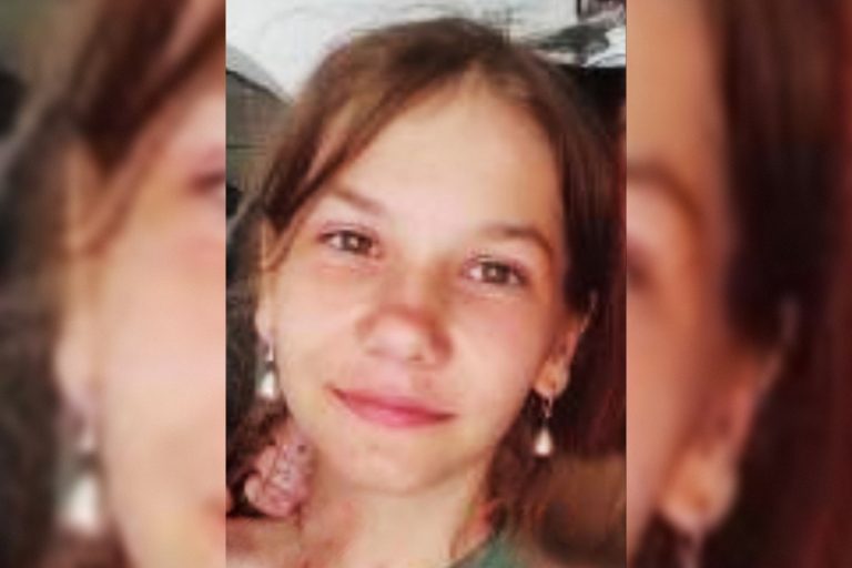 В Тверской области пропала малолетняя девочка