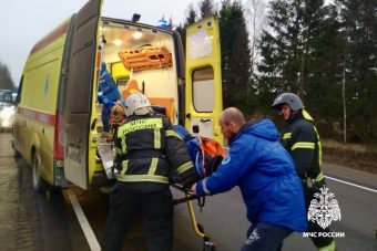 Водитель легковушки пострадал в ДТП с лосем в Тверской области