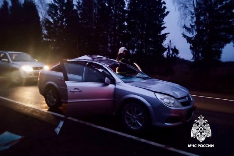 Водитель легковушки пострадал в ДТП с лосем в Тверской области