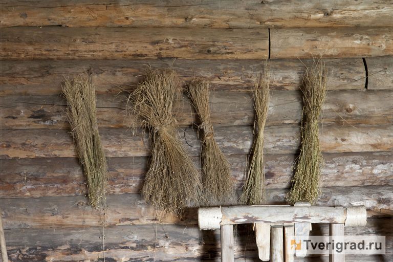 15 ноября – Акиндин и Пигасий: о чём говорят приметы, и что запрещено делать