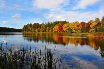 Жительница Тверской области сделала самое красивое фото озера в России